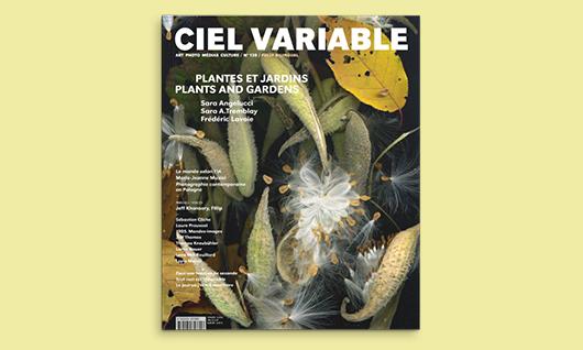 /img/generated/member_picture/cielvariable_image_530x318px_1.jpg's Avatar